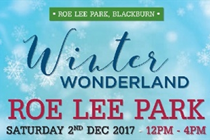 Winter Wonderland - Friends of Roe Lee Park